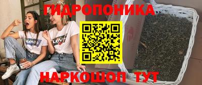 шишки Конаково